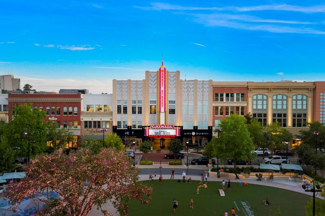 50 Thicket Grove Place, The Woodlands, TX 77385