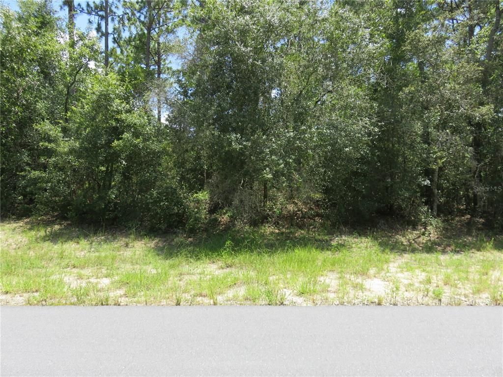 00 SW 132ND PLACE, Ocala, FL 34473