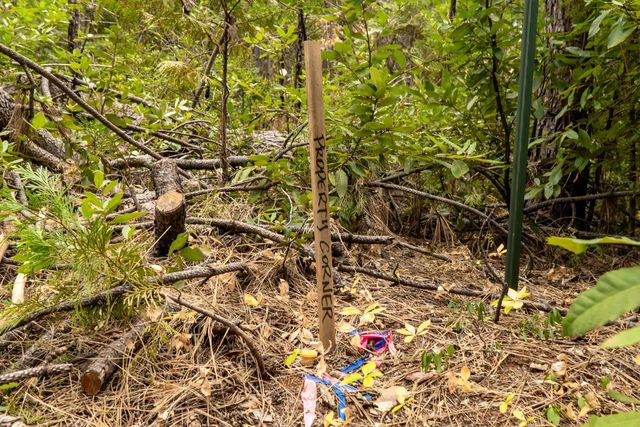 2051 Ridge Rd, North San Juan, CA 95960