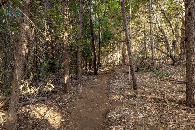 2051 Ridge Rd, North San Juan, CA 95960