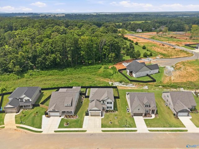 108 Ayers Spring Road, New Market, AL 35761