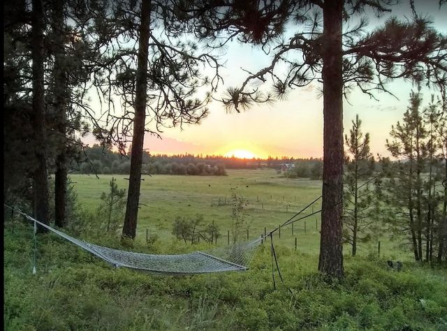 2609 E Tiger Lily Ln, Spangle, WA 99031