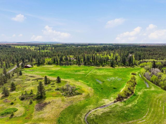 2609 E Tiger Lily Ln, Spangle, WA 99031