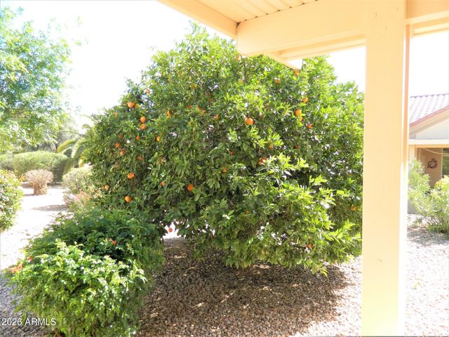 14311 W COLT Lane, Sun City West, AZ 85375