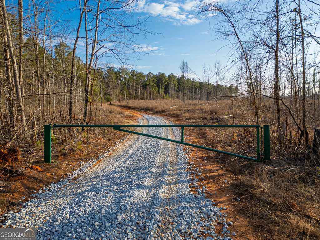 1 Smith Rocky Branch Road, Carlton, GA 30627 — photo 2