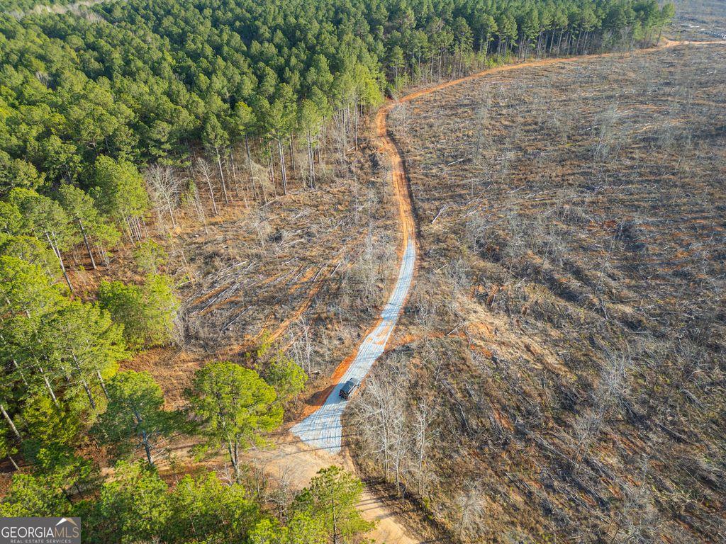 1 Smith Rocky Branch Road, Carlton, GA 30627 — photo 3