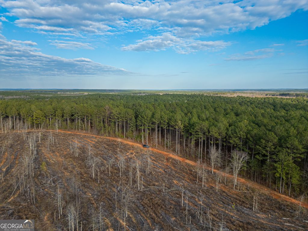 1 Smith Rocky Branch Road, Carlton, GA 30627 — photo 4