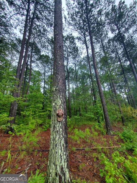 1 Smith Rocky Branch Road, Carlton, GA 30627 — photo 5