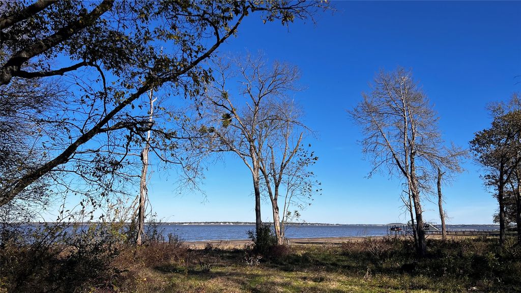 8455 Southern Shore Court, Kemp, TX 75143