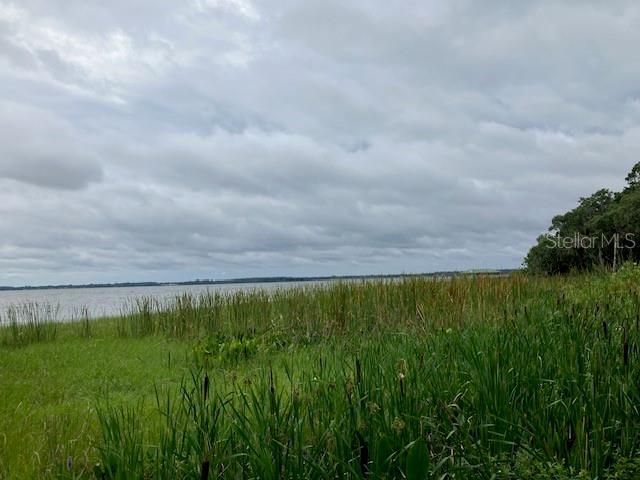 MOCKINGBIRD LANE, Fruitland Park, FL 34731