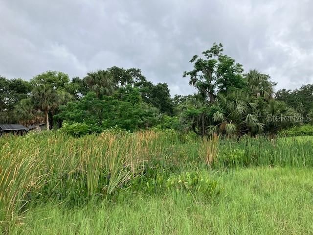 MOCKINGBIRD LANE, Fruitland Park, FL 34731