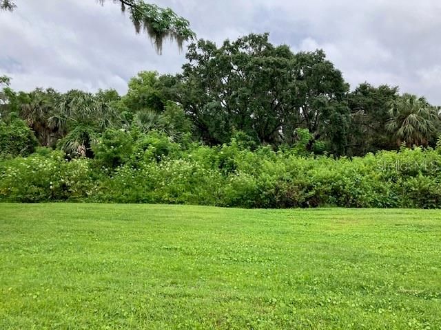 MOCKINGBIRD LANE, Fruitland Park, FL 34731