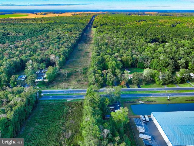 LOTS 49 & 50 DUPONT BLVD, Dagsboro, DE 19939