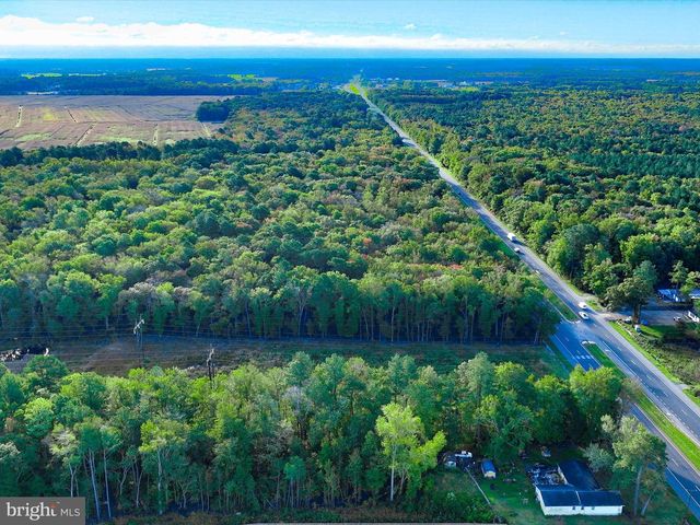 LOTS 49 & 50 DUPONT BLVD, Dagsboro, DE 19939