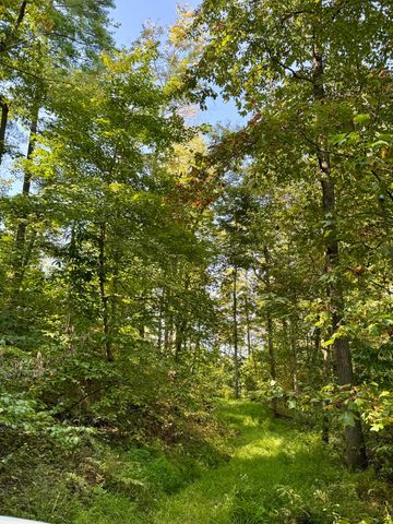 26501 Sowers Road, Mcarthur, OH 45651