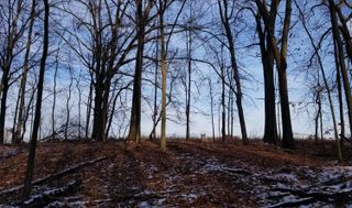 856 Greystone Drive, Chelsea, MI 48118