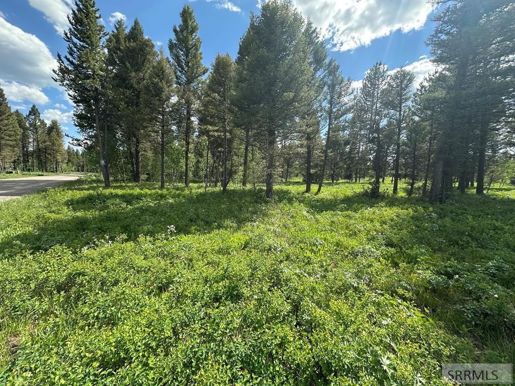 Image 1 of property listing at 4095 Icehouse Creek Road, Island Park, ID 83429