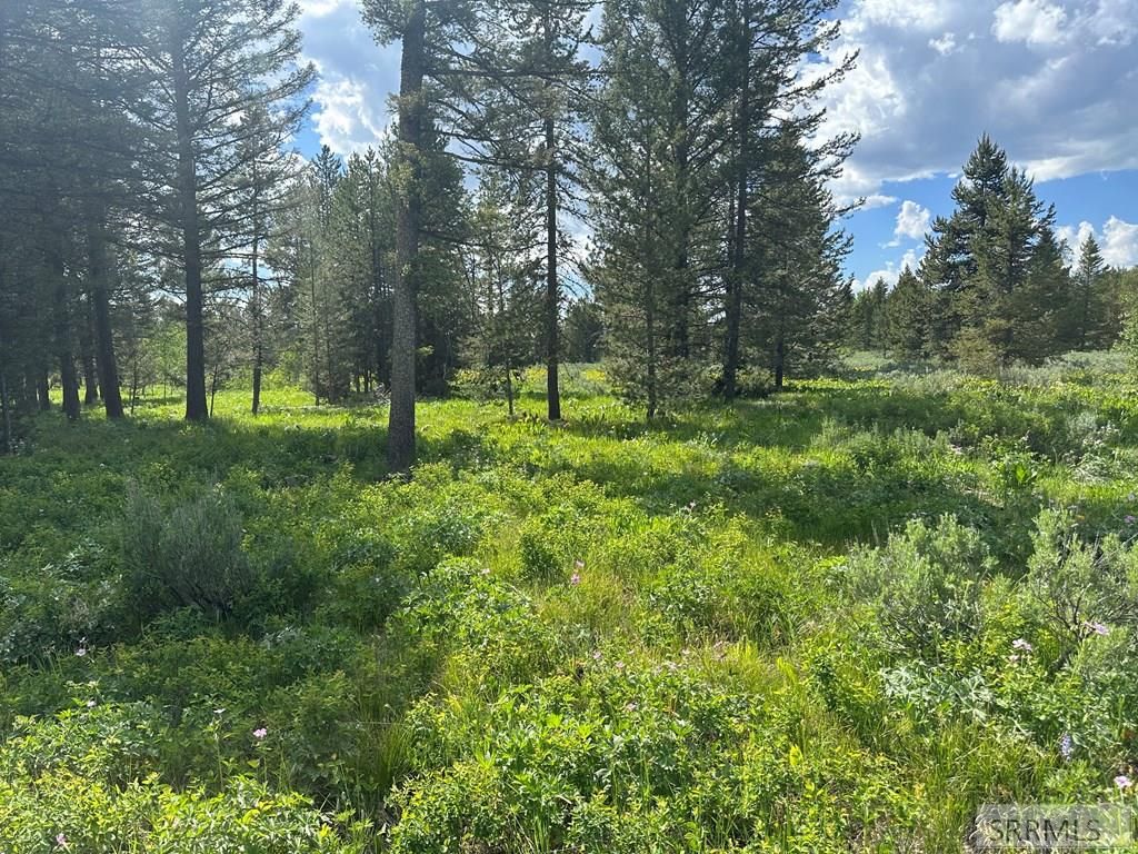 Image 2 of property listing at 4095 Icehouse Creek Road, Island Park, ID 83429