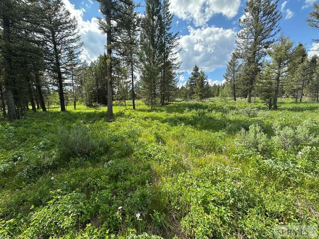 Image 3 of property listing at 4095 Icehouse Creek Road, Island Park, ID 83429