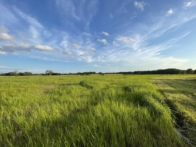 2505 Summer Oaks Cir, Summertown, TN 38483