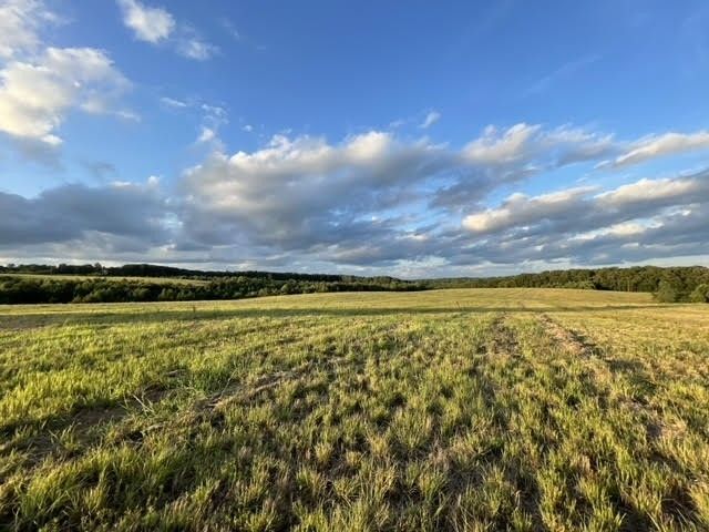 2505 Summer Oaks Cir, Summertown, TN 38483