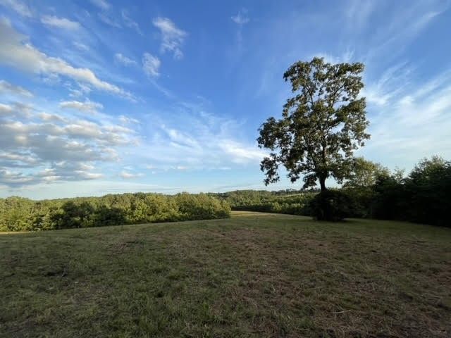 2505 Summer Oaks Cir, Summertown, TN 38483