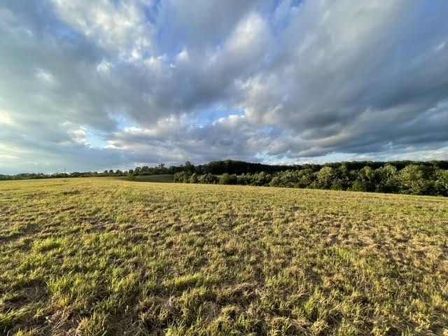 2505 Summer Oaks Cir, Summertown, TN 38483