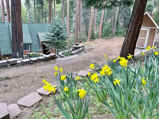 32811 Birch Hill Road, Palomar Mountain, CA 92060