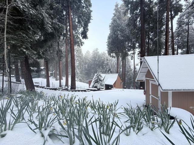 32811 Birch Hill Road, Palomar Mountain, CA 92060