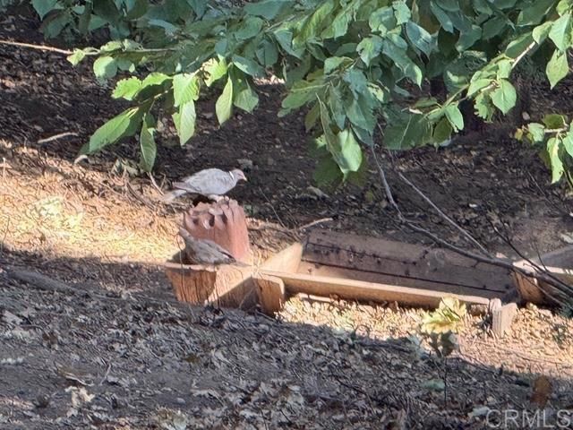 32811 Birch Hill Road, Palomar Mountain, CA 92060