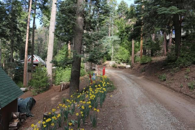 32811 Birch Hill Road, Palomar Mountain, CA 92060