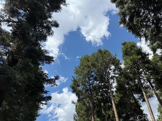 32811 Birch Hill Road, Palomar Mountain, CA 92060