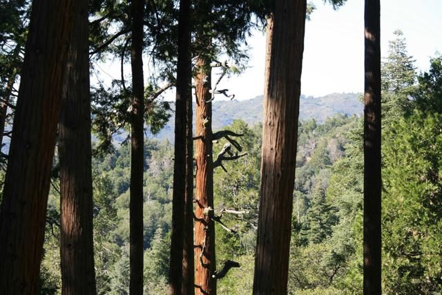 32811 Birch Hill Road, Palomar Mountain, CA 92060