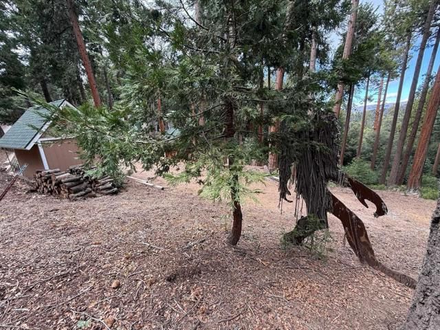 32811 Birch Hill Road, Palomar Mountain, CA 92060