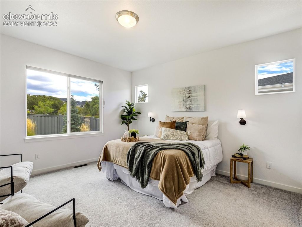 1130 Charismatic Way, Colorado Springs, CO 80921 — photo 5