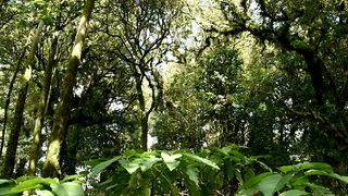 5791 NW Whitecap Road, Port St Lucie, FL 34986