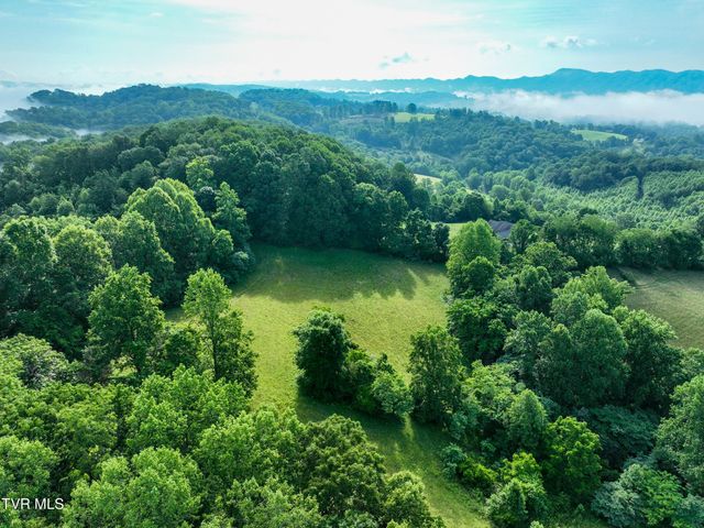 Tbd Snowflake Road, Gate City, VA 24251