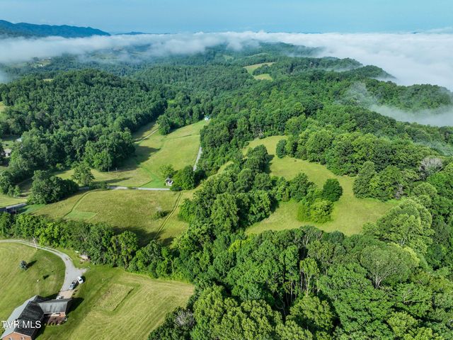 Tbd Snowflake Road, Gate City, VA 24251