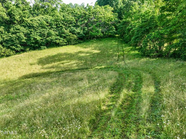 Tbd Snowflake Road, Gate City, VA 24251