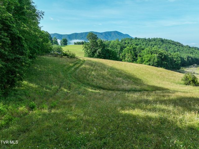 Tbd Snowflake Road, Gate City, VA 24251