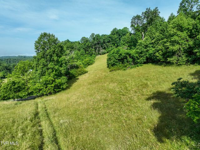 Tbd Snowflake Road, Gate City, VA 24251