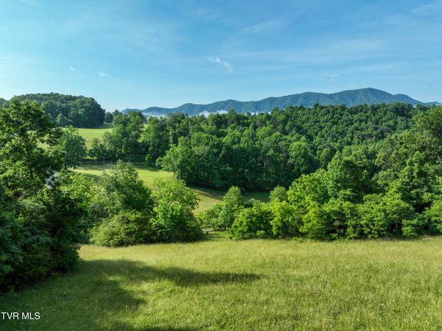 Tbd Snowflake Road, Gate City, VA 24251