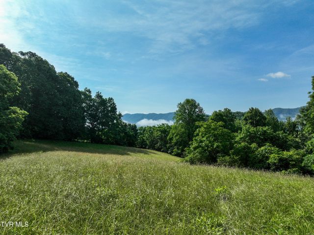 Tbd Snowflake Road, Gate City, VA 24251