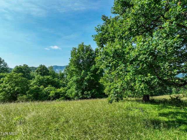 Tbd Snowflake Road, Gate City, VA 24251