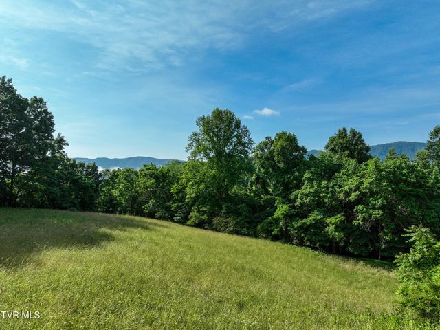 Tbd Snowflake Road, Gate City, VA 24251