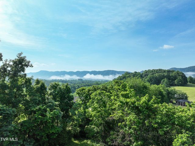 Tbd Snowflake Road, Gate City, VA 24251