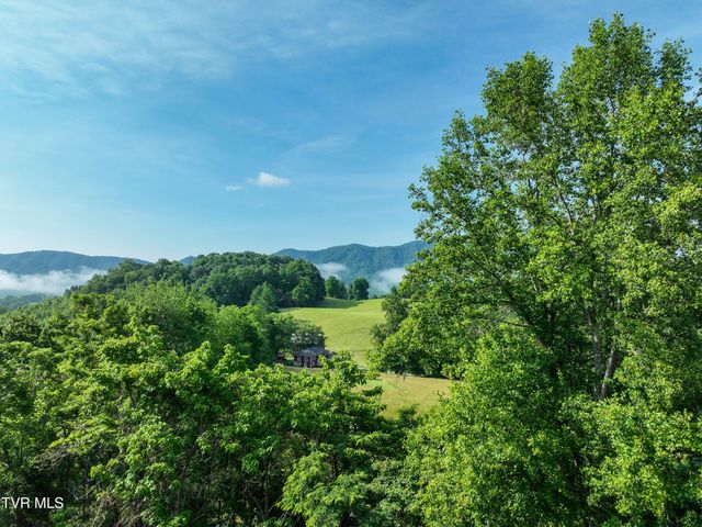 Tbd Snowflake Road, Gate City, VA 24251