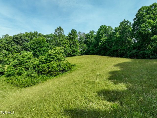 Tbd Snowflake Road, Gate City, VA 24251