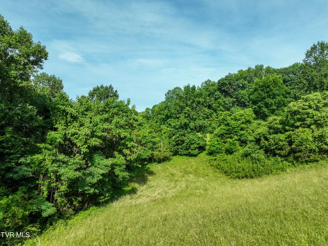 Tbd Snowflake Road, Gate City, VA 24251