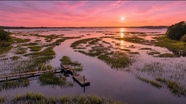 1358 Polly Point Road, Wadmalaw Island, SC 29487